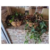 (2) Metal Hanging Baskets w/Ivy