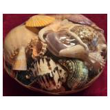New Fruit of the Sea Basket w/Seashells