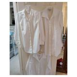 Sz 2P (3) CHICO'S Button Down Collared Dress