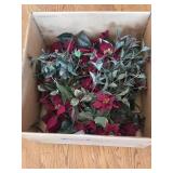 Box of Poinsettias & Holly