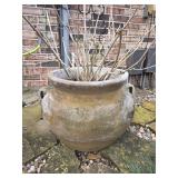 Large Terracotta Pot w/Unknown Bush