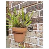 Small Wall Hanger with Planter
