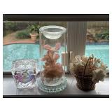 Preserved Flower Arrangement in Glass Cylinder
