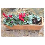 Rectangular Planter w/Cyclamen