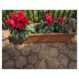 Recantgular Planter w/Cyclamen