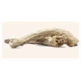 (2) Vital Essential Turkey Necks & (1) Moo Stick