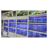 5 Section Fish Tanks