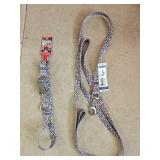 Sz MD Multicolor Dog Collar & 6ft Leash