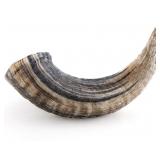 (3) Lamb Horn Dog Chew