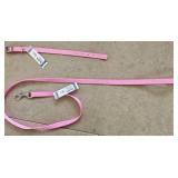 12" Pink Collar & 4 ft Leash