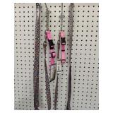 Coastal ï¿½ Pink Dog Training Collars(2)  & 6' Pink