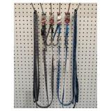Coastalï¿½ Dog Collar & Leash Sets (4) Size:  X