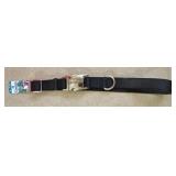 LG Metal Buckle Dog Collar