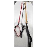 (3) Long Leashes & (3) Reflective Collars