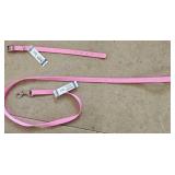 12" Pink Collar & 4 ft Leash
