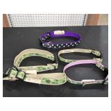 (5) Everyday Dog Collars