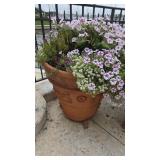 Mixed Petunias in 24in Pot