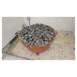 Sedum Succulents in 28in Pot