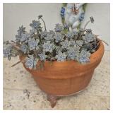 Ghost Plant in 24in Pot