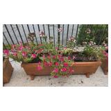 Binocci Carlo 12x40 Planter w/Petunias & Dianthus
