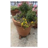 Snapdragons & Petunias in 18in Pot