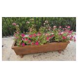 Binocci Carlo 12x40 Planter w/Petunias & Dianthus