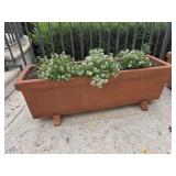 Binocci Carlo 12x40 Planter w/Sweet Alyssum