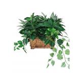 Faux Pothos Plant in Basket