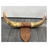 Mounted Bull Horn Wall Piece