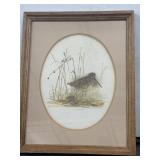 Mads Stage Common Snipe Print Framed