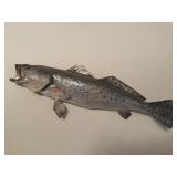 26' Spotted Seatrout Fish Mount