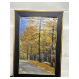 14" x 20" Framed Landscape Photo