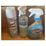 ALL NEW Lysol, Clean Boss & Clorox Bathroom