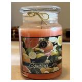 Darsee & Davidï¿½s Sparkling Citrus Candle 23oz