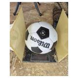 Soccer Ball in Case??