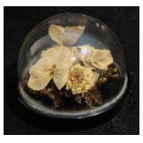 Small Paperweight Terrarium with Butterfly &