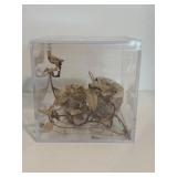 Natural Nest w/ Display Case