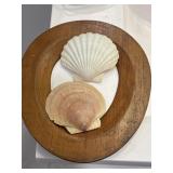 Natural Scallop Seashell & Wooden decor