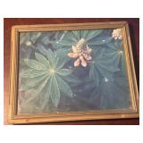 11'x9' VTG Floral print featuring lupine flowers,
