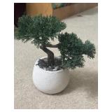 Artificial Ceda Bonsai Plant 10ï¿½ with Lush Green
