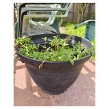 20" Plastic Cauldron Planter