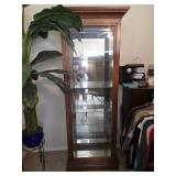 25"ï¿½17"ï¿½75" Glass Curio Display Cabinet