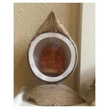 Handcrafted Lord Ganesh Idol in a Coconut Shell