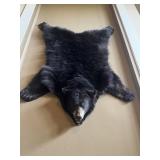 Authentic Black Bear Skin Taxidermy Rug 55"x52"