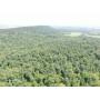 Outstanding 43+/- wooded acres in Mercersburg, PA!