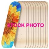 11pc maple skateboard blanks, approximately