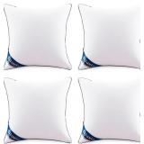 4pc Siluvia 18x18 Pillow Inserts