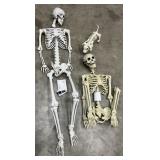 articulated skeletons