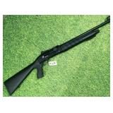 Eternal Arms S12ST 12ga shotgun,