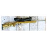 Ruger 10/22 Carbine 22LR rifle,
